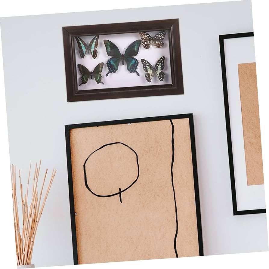 Amazon | JECOMPRIS 手作り標本 photo frame 壁掛けの蝶の標本 標本 Amazon | JECOMPRIS 手作り標本 photo frame 壁掛けの蝶の標本 標本